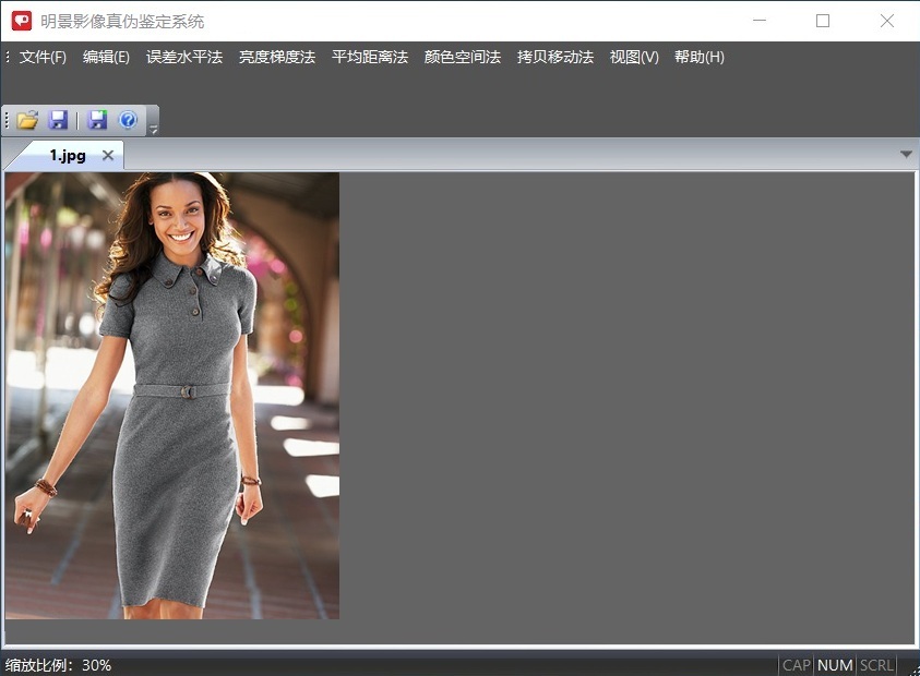 吉彩网影像真伪判断系统