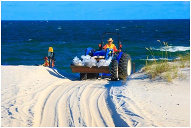 吉彩网影像真伪判断系统